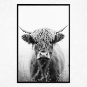 Eyes of the Enigmatic Highlands - Framed