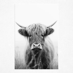 Eyes of the Enigmatic Highlands - Poster